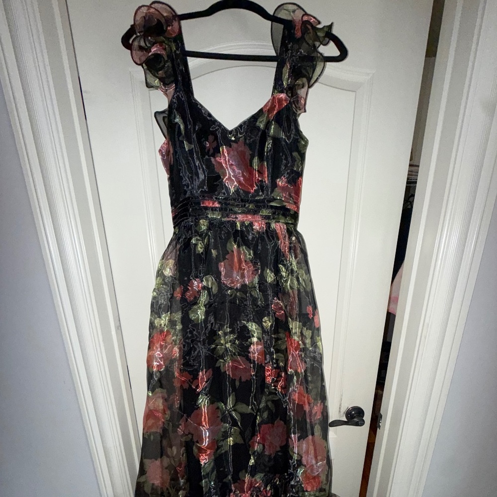 Lulus maxi Organza dress